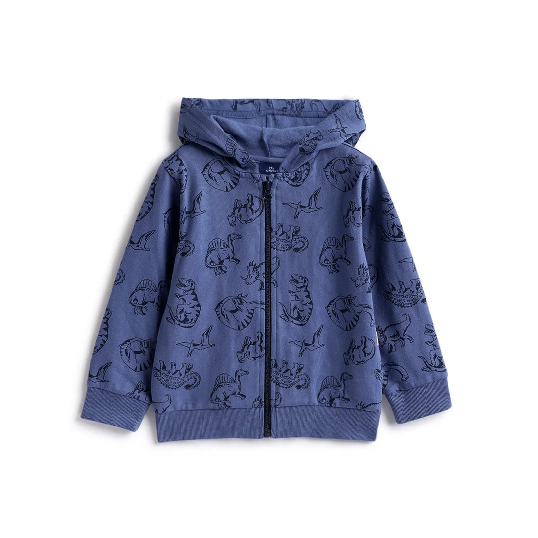 Boys Blue Printed Hooded Cardigan