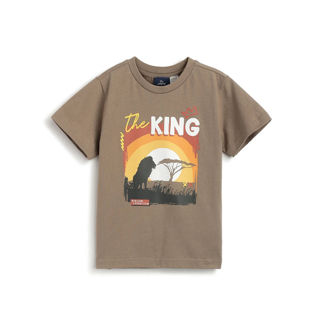 Boys Brown Printed T-shirt