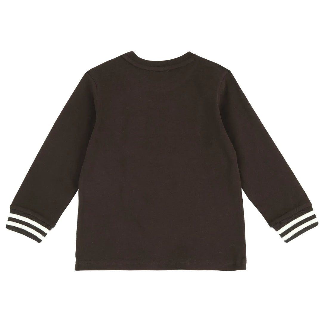 Boys Dark Brown Printed Long Sleeve T-shirt
