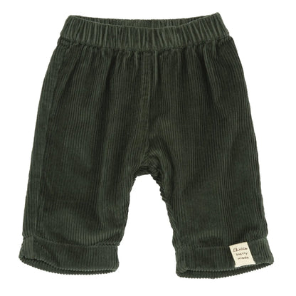Boys Dark Green Solid Trouser