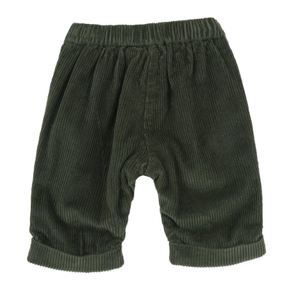 Boys Dark Green Solid Trouser