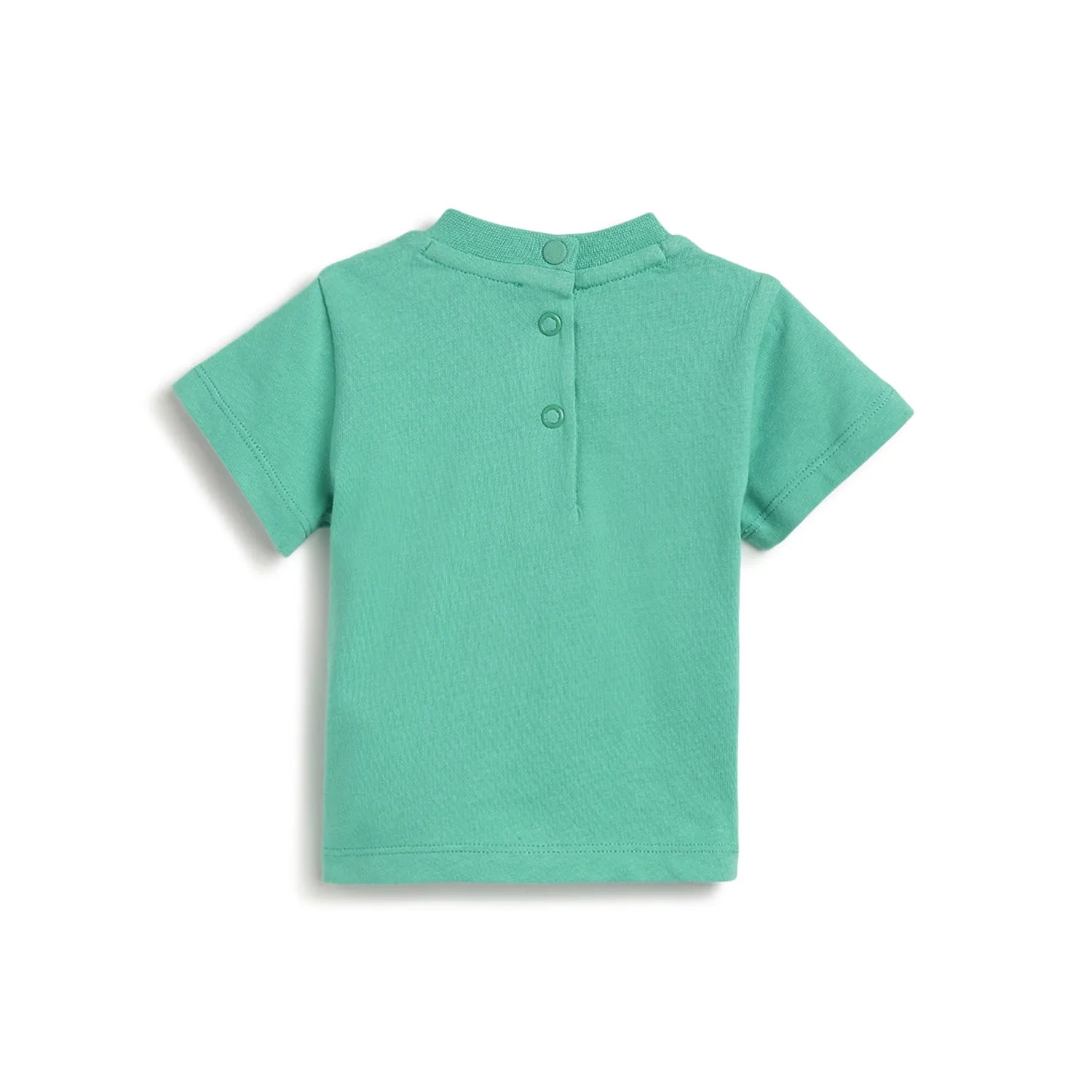 Boys Graphic Printed Short Sleeve T-Shirt Green