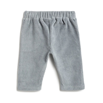 Boys Graphic Printed Sweatshirt with Trouser