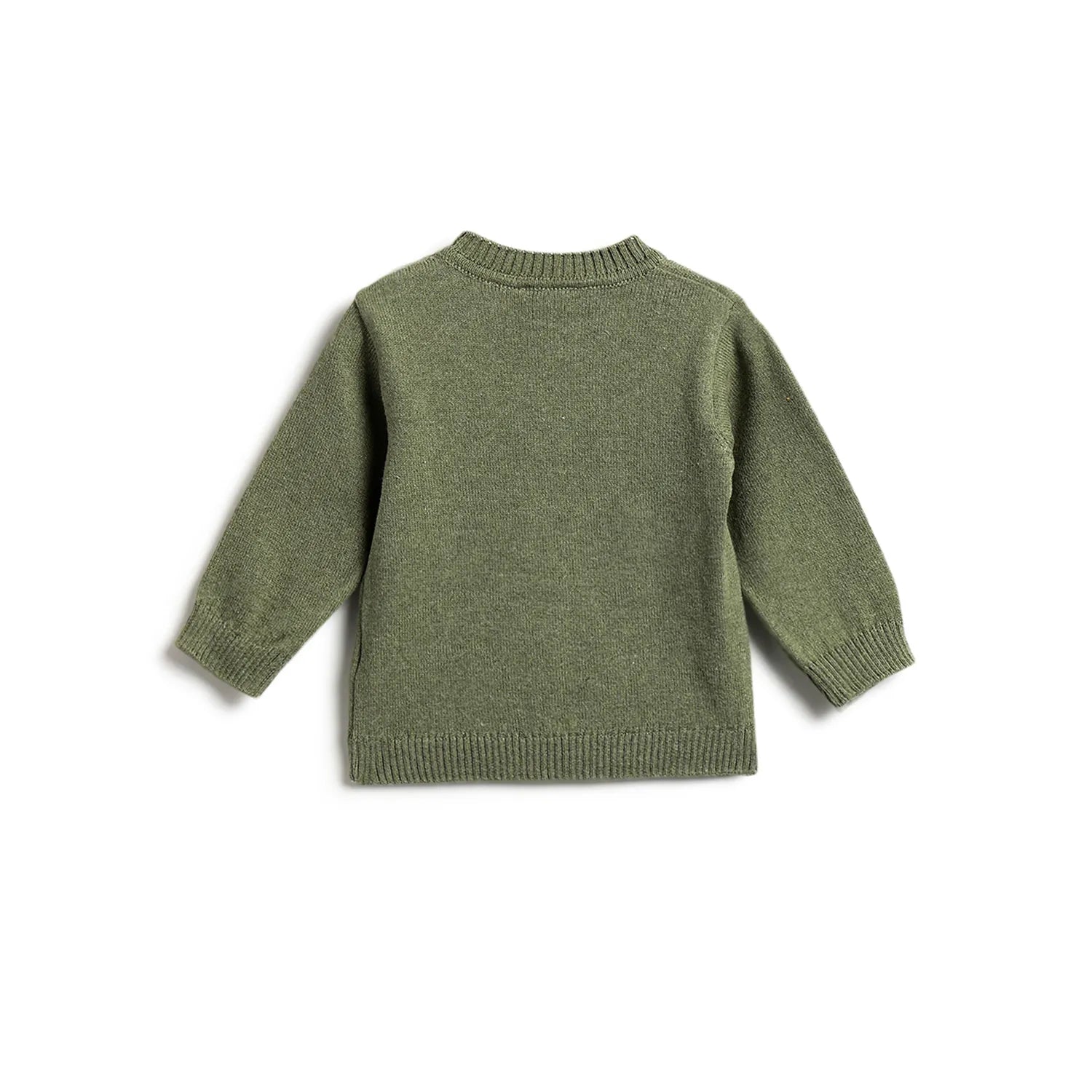 Boys Green Embroidered Pullover