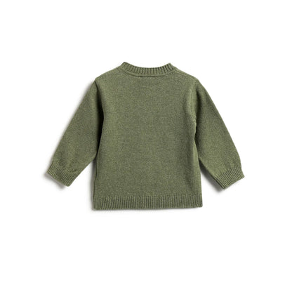 Boys Green Embroidered Pullover