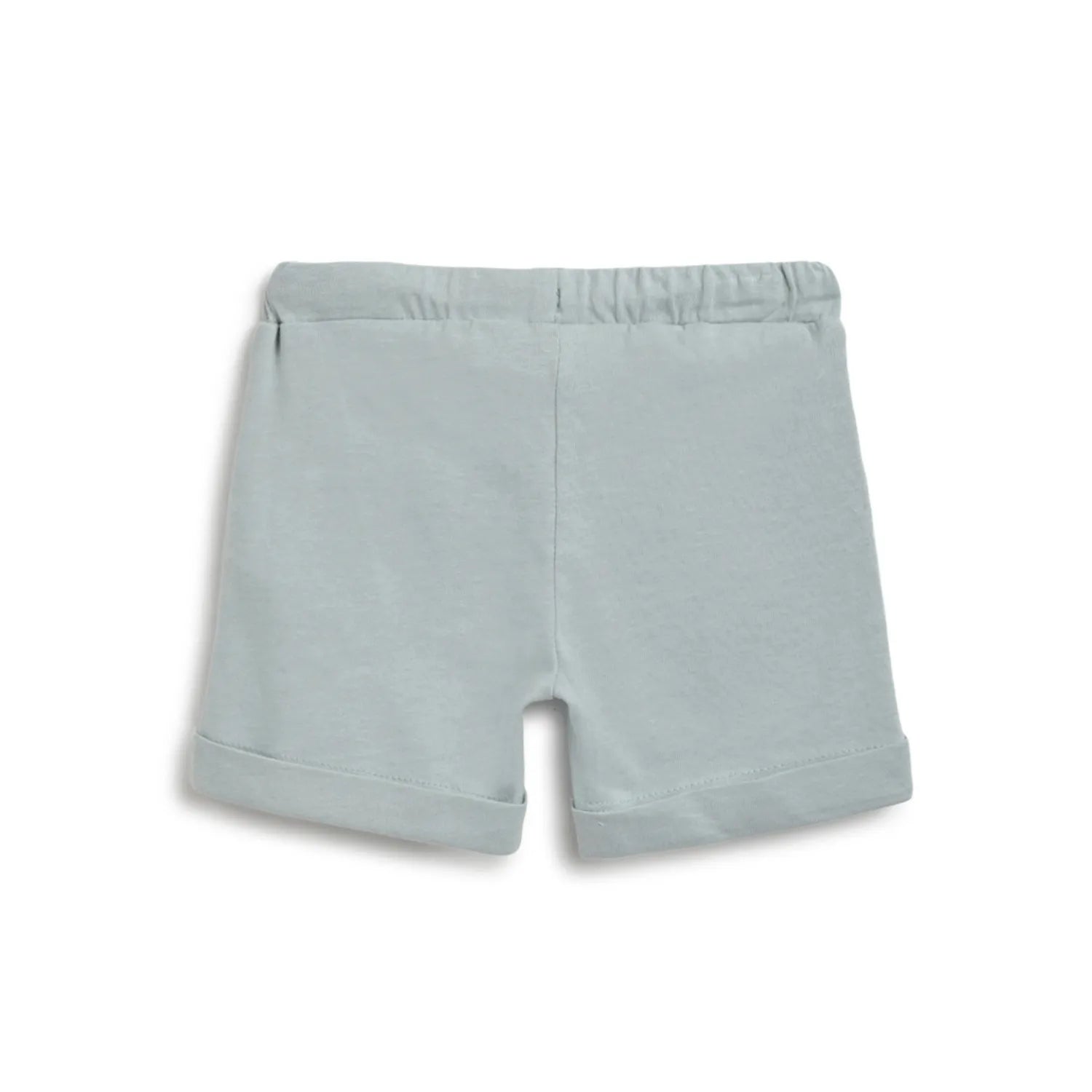 Boys Green Printed T-Shirt With Shorts