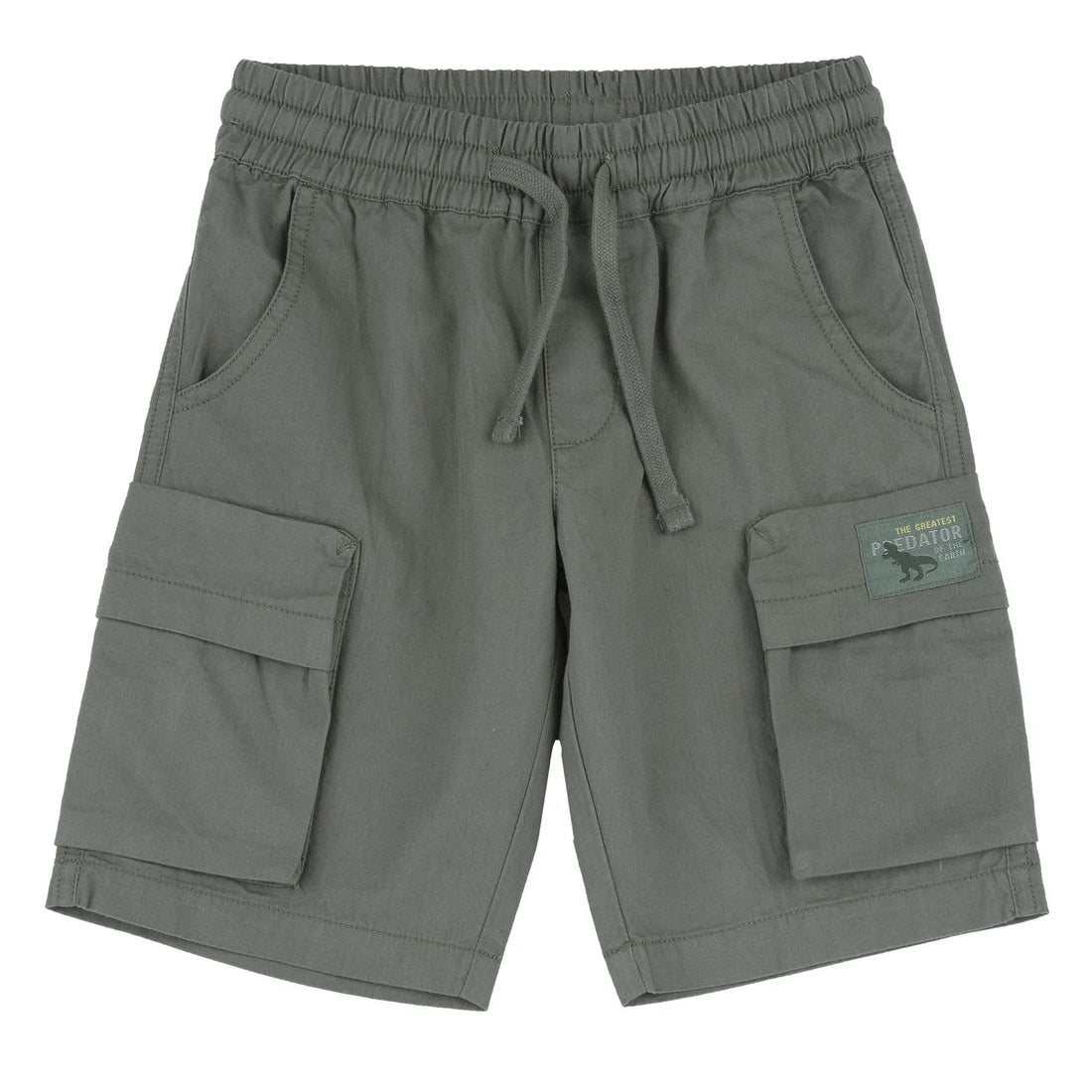Boys Green Solid Elasticated Shorts