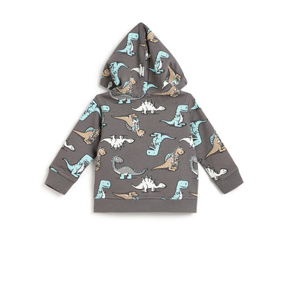 Boys Grey Printed Hooded Sweatshirt