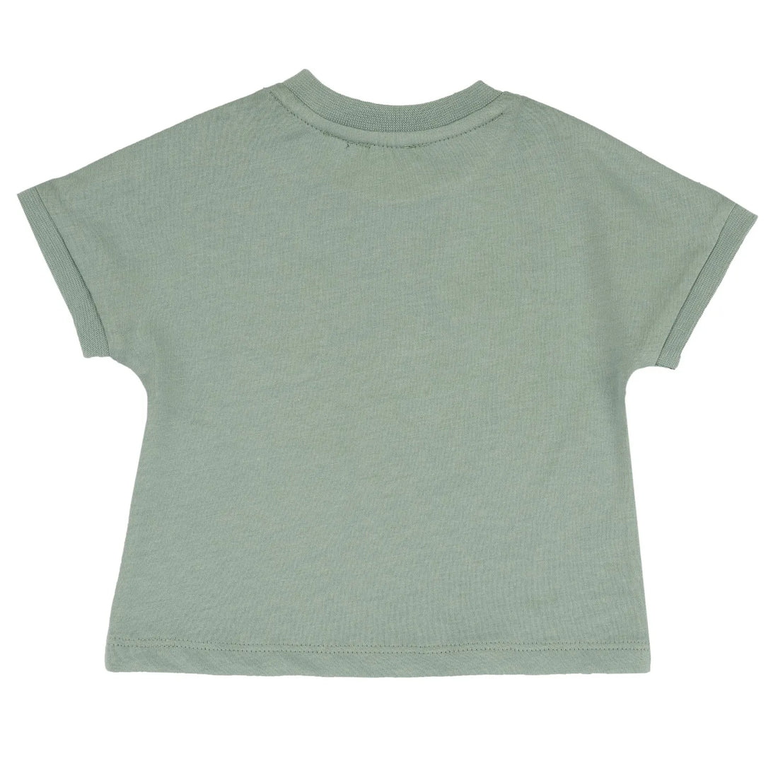 Boys Light Green Solid T-shirt