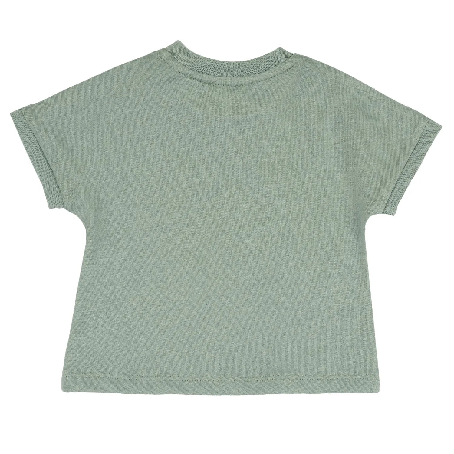 Boys Light Green Solid T-shirt