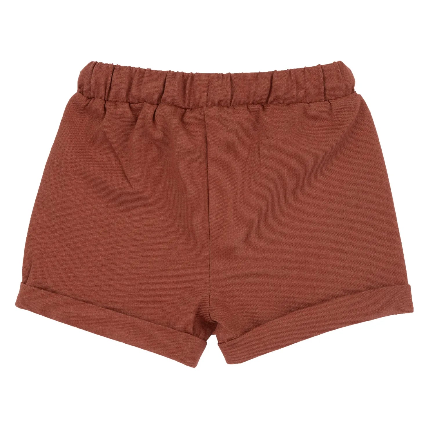 Boys Light Red Printed T-Shirt with Shorts