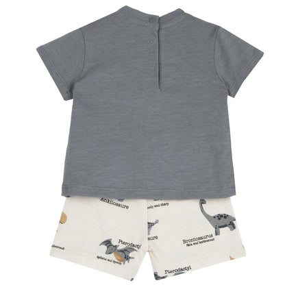 Boys Medium Grey Animal Printed T-Shirt with Shorts