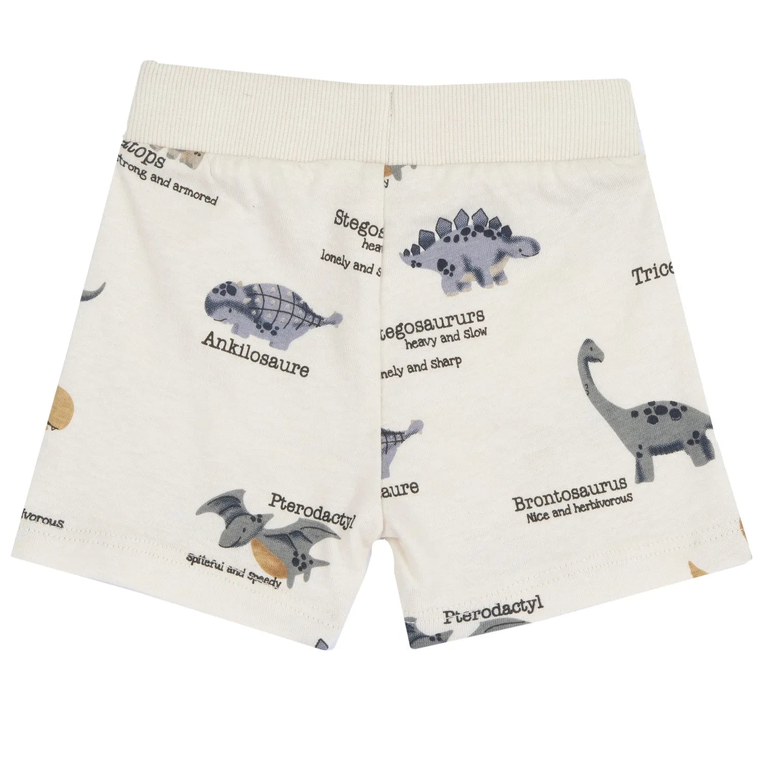 Boys Medium Grey Animal Printed T-Shirt with Shorts
