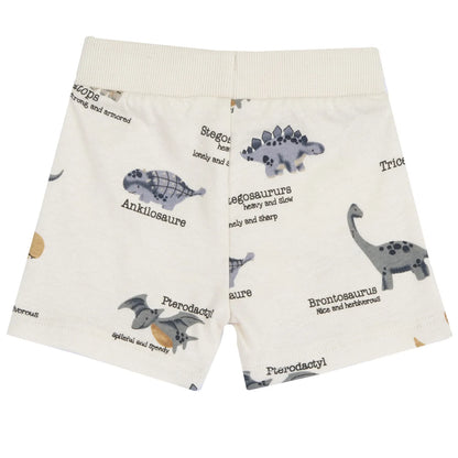 Boys Medium Grey Animal Printed T-Shirt with Shorts