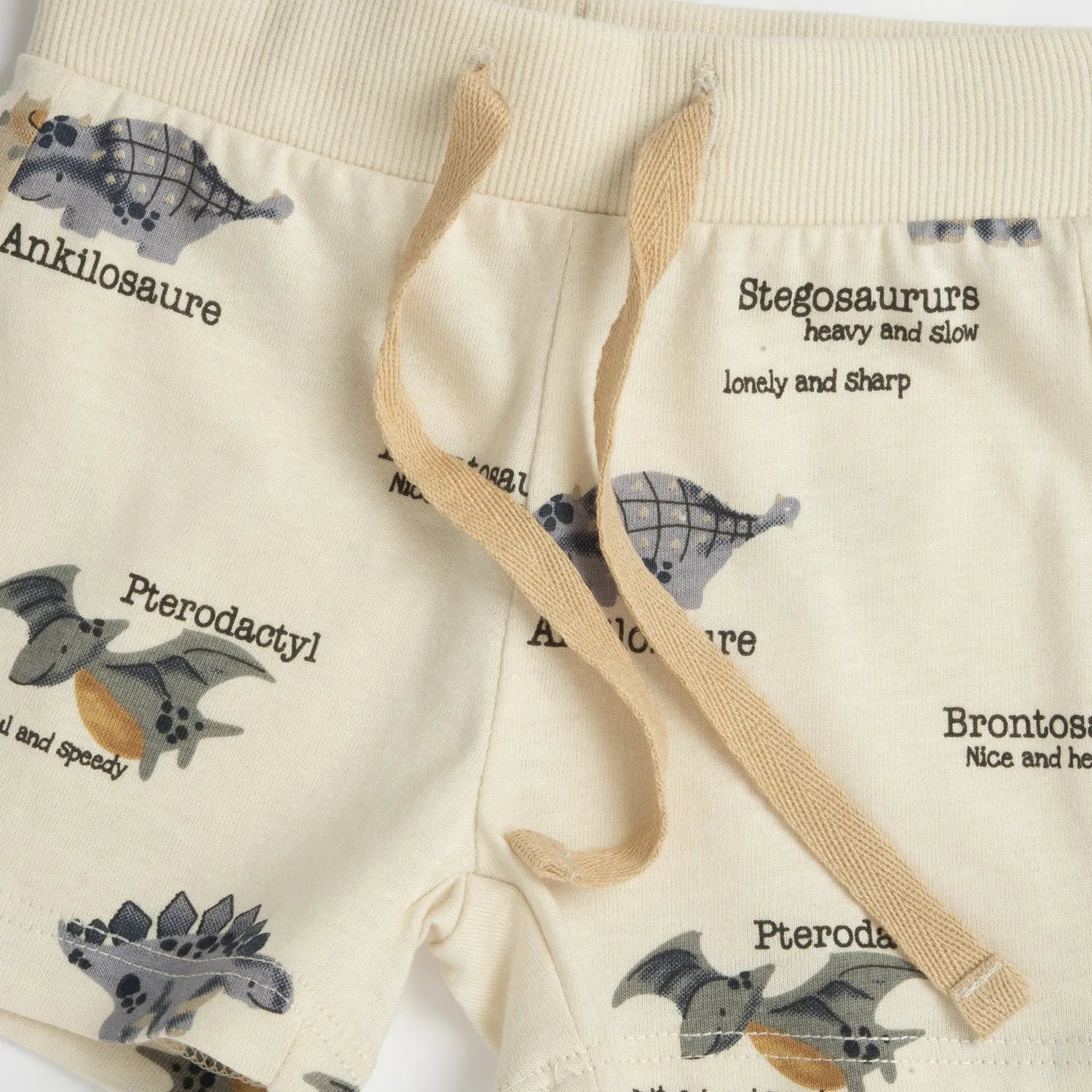 Boys Medium Grey Animal Printed T-Shirt with Shorts