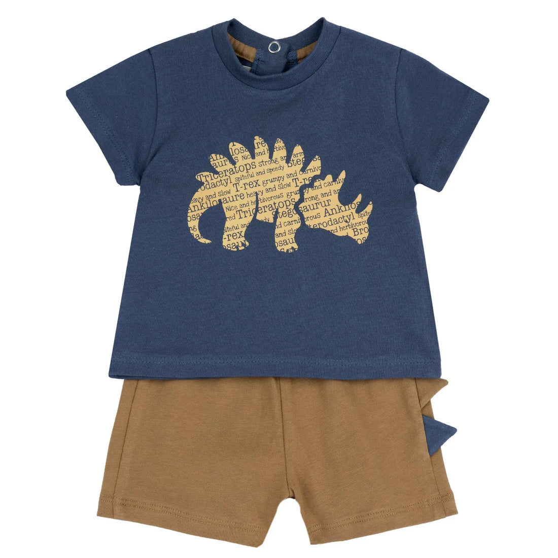 Boys Medium Light Blue Animal Printed T-Shirt with Shorts