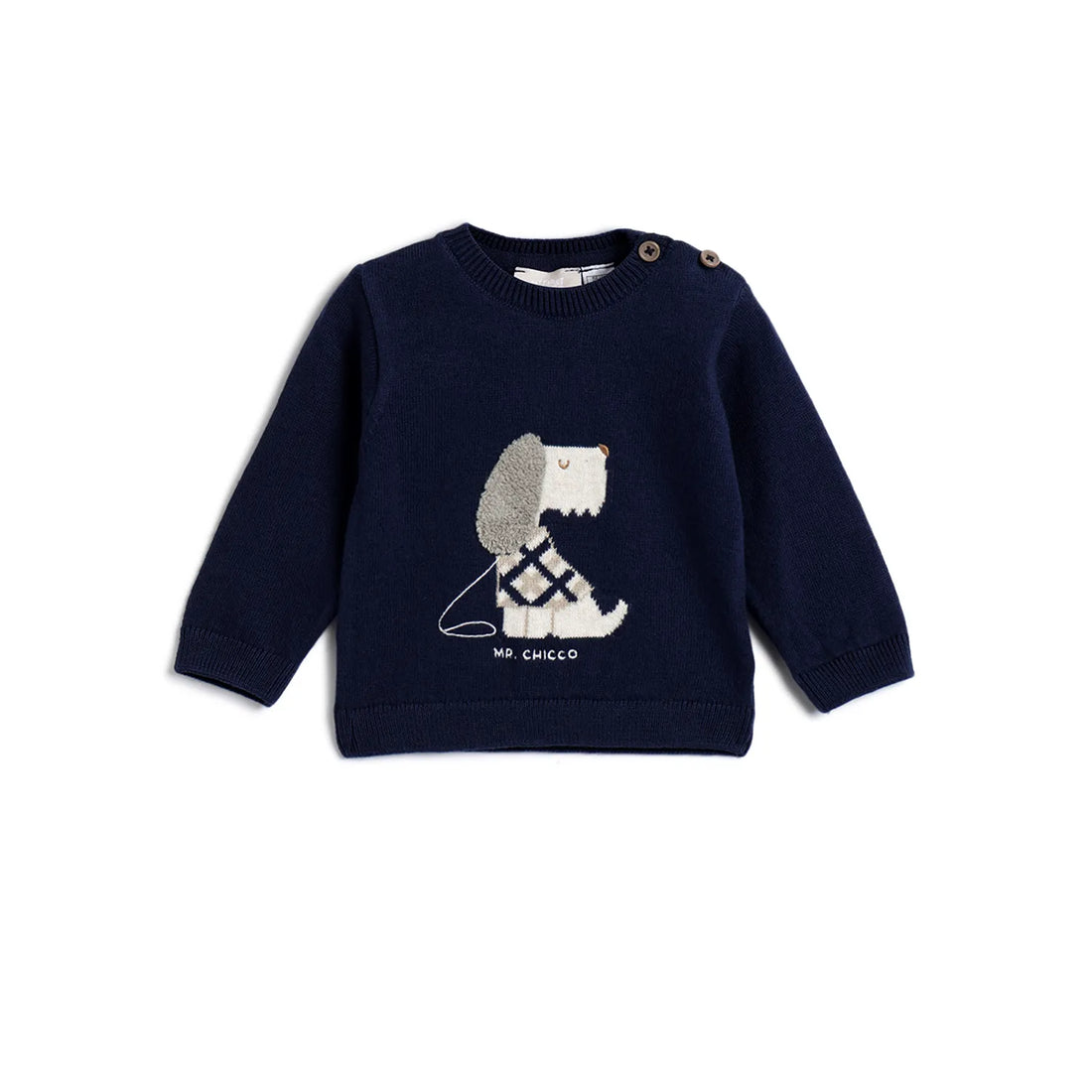 Boys Navy Blue Graphic Printed Pullover