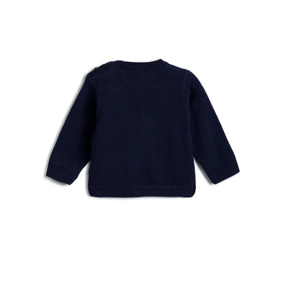 Boys Navy Blue Graphic Printed Pullover