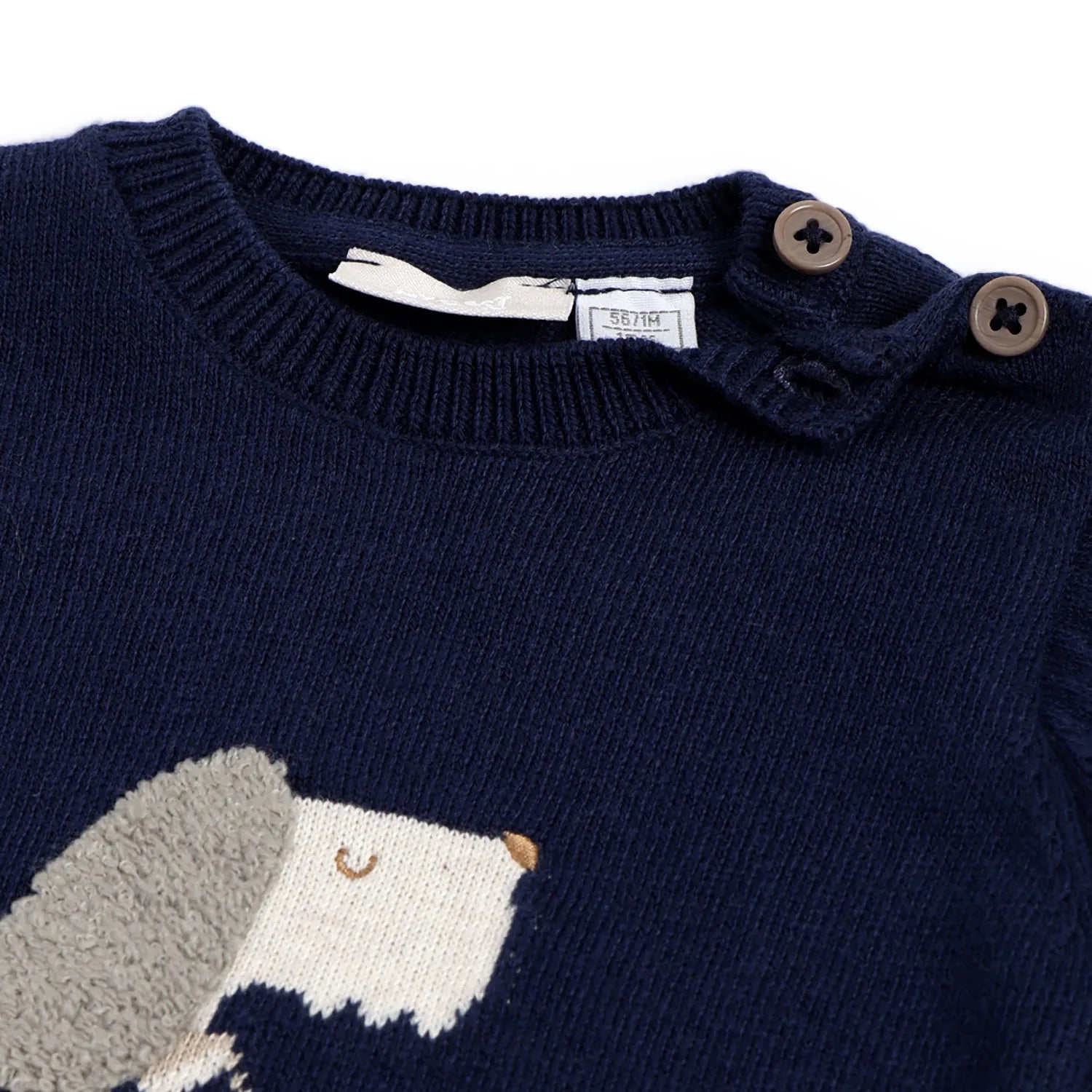Boys Navy Blue Graphic Printed Pullover