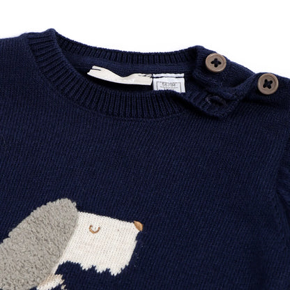 Boys Navy Blue Graphic Printed Pullover