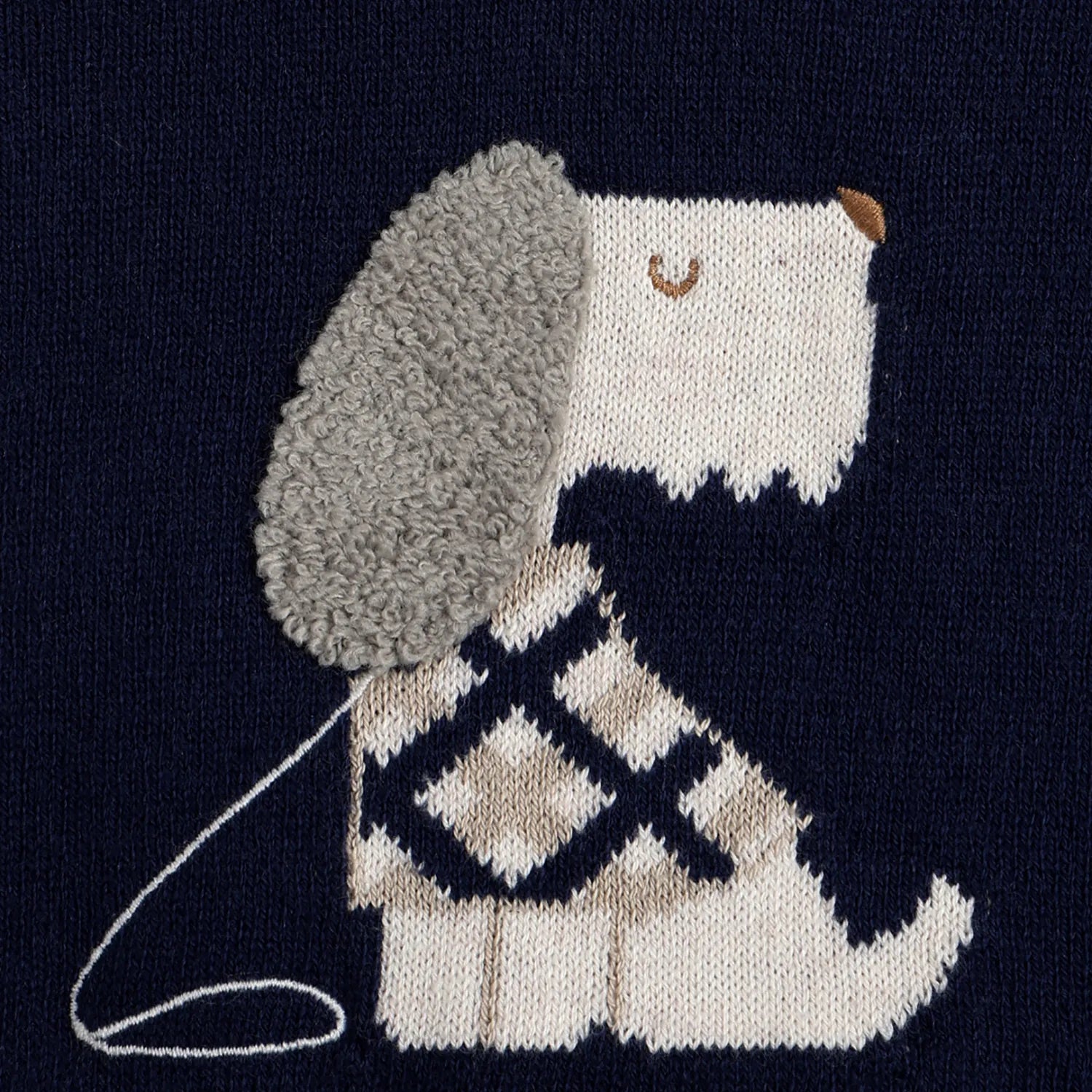 Boys Navy Blue Graphic Printed Pullover