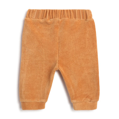 Boys Printed T-shirt With Joggers