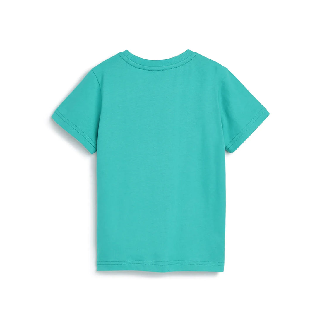 Boys Sea Green Printed T-shirt