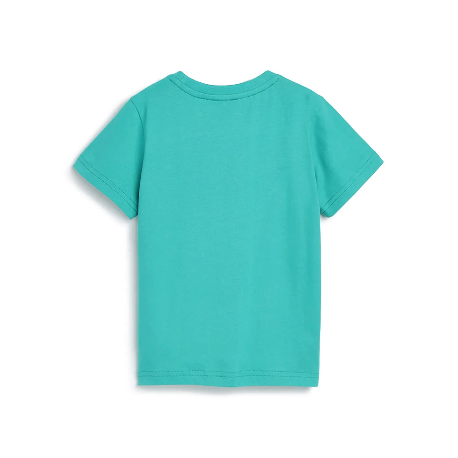 Boys Sea Green Printed T-shirt
