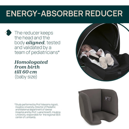 Kory Plus Baby Car Seat Bronze Lizard