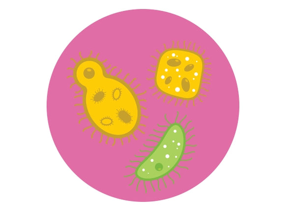 KILLS 99.95% OF GERMS