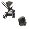 Mysa Stroller Bronze Lizard  & Kory Plus Special Car Seat Bronze Lizard