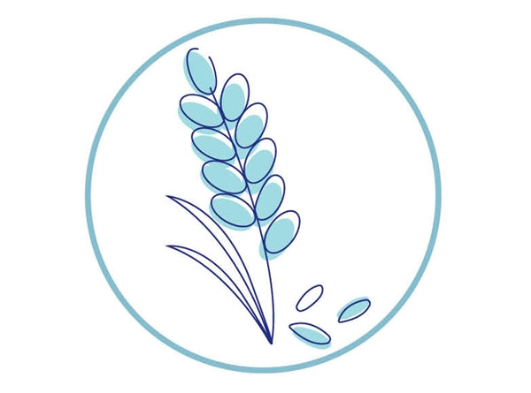 ENRICHED WITH RICE OIL