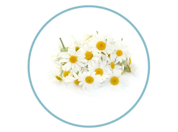 ENRICHED WITH CHAMOMILE