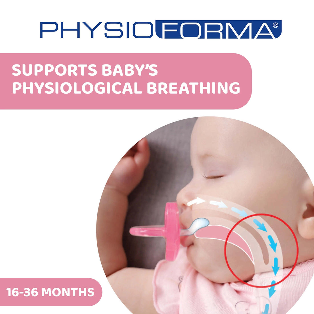 Soother Physio Soft Pink 16 to36M 1Pc