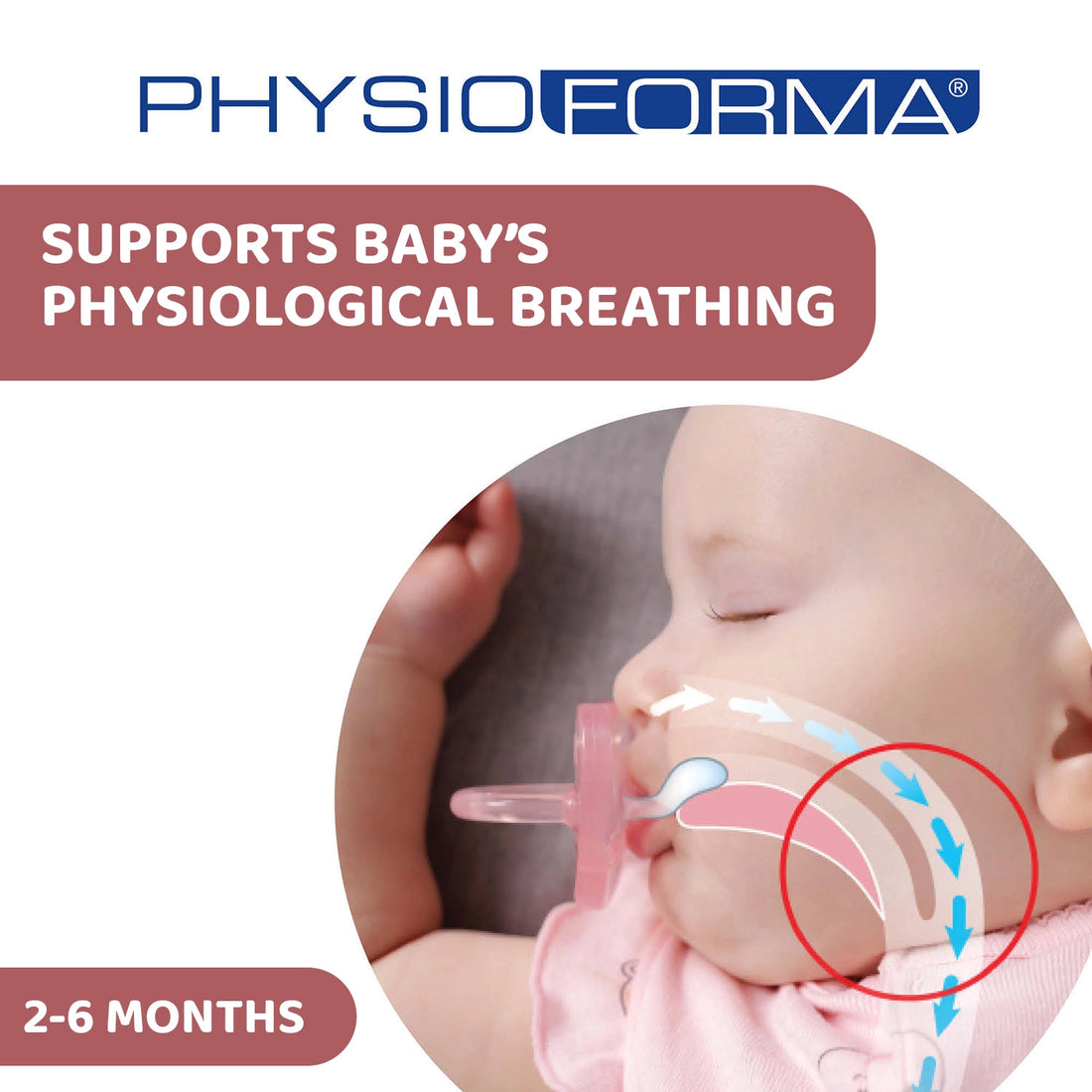 Soother Physio Soft Pink 2 to 6M 1Pc