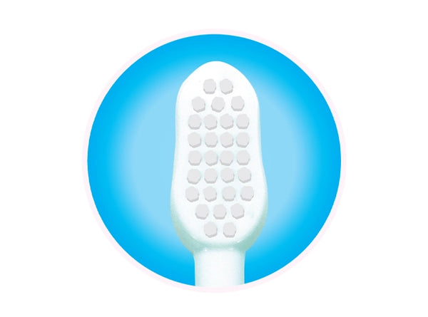 RIGHT SIZE AND SHAPE 