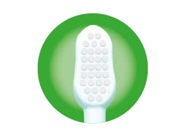 RIGHT SIZE AND SHAPE 