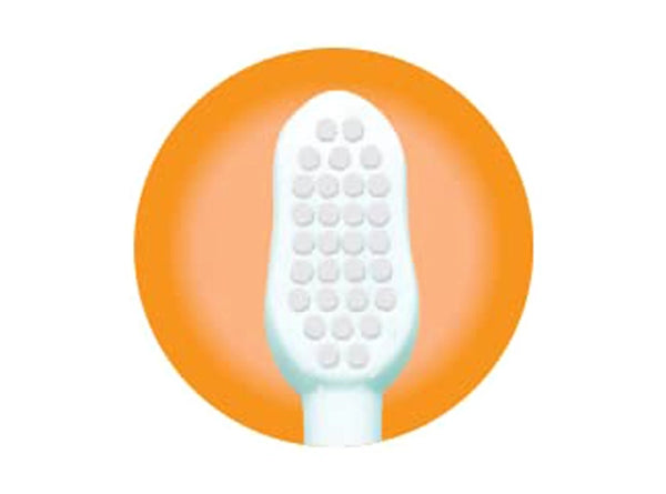 RIGHT SIZE AND SHAPE 