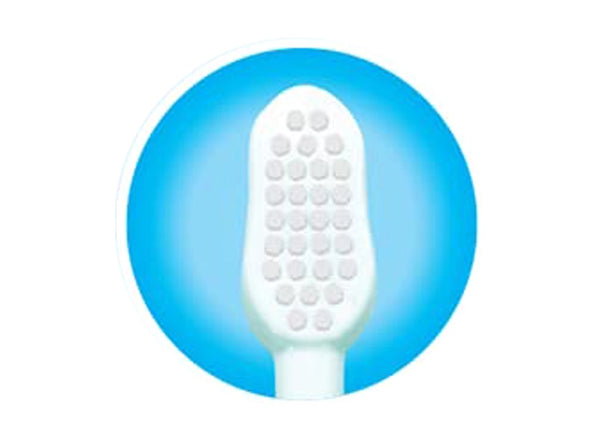 RIGHT SIZE AND SHAPE 