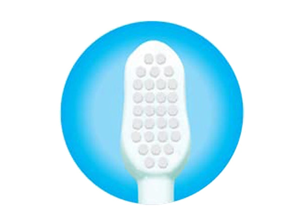 RIGHT SIZE AND SHAPE 