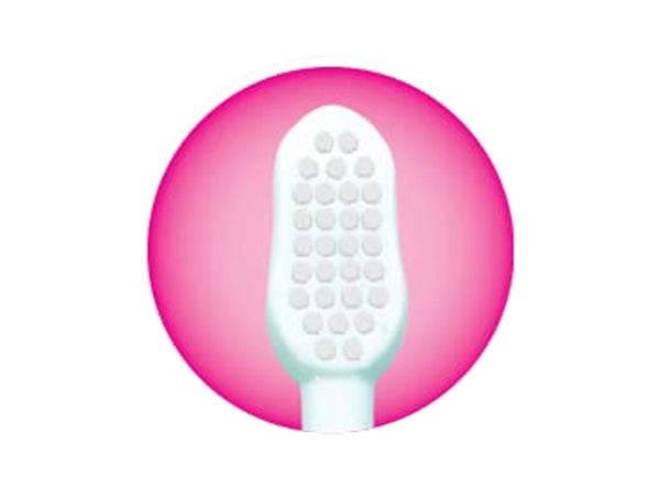 RIGHT SIZE AND SHAPE 