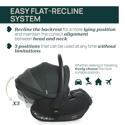 First-Seat Recline 2 Fir Tree