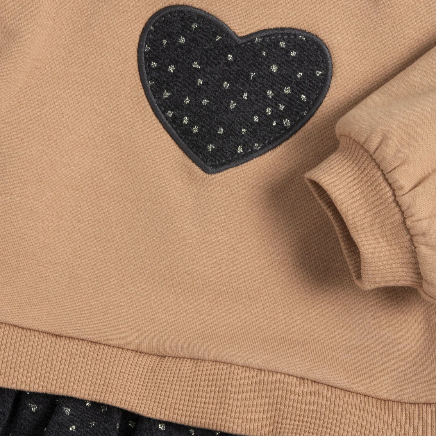 Girls Brown Applique Long Sleeve Dress