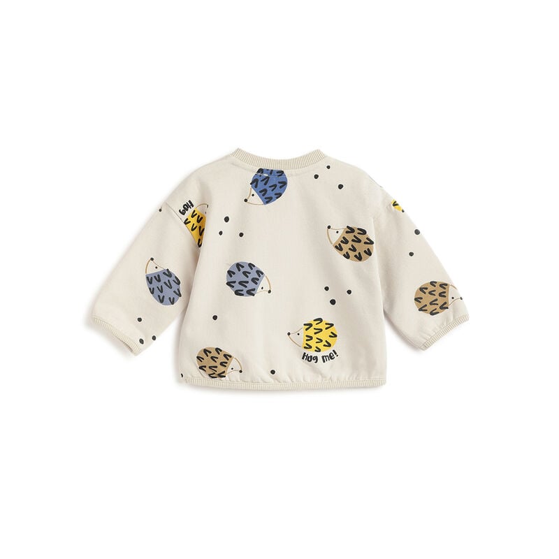 Boys Cream Printed Sweatshirt image number 1