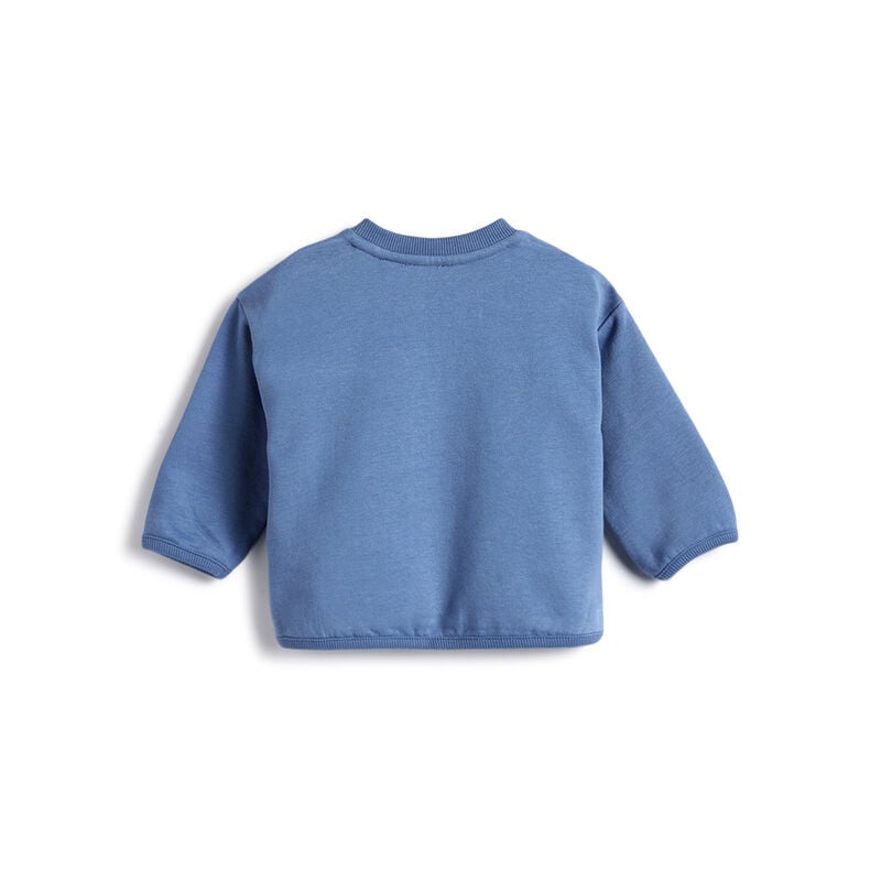 Boys Blue Printed Sweatshirt image number 1