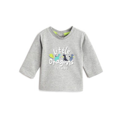 Boys Light Grey Graphic Printed Long Sleeve T- Shirt