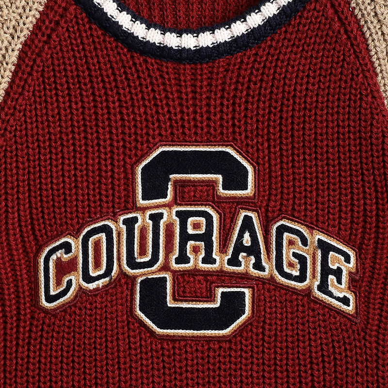 Boys Maroon Colourblocked Pullover image number 3