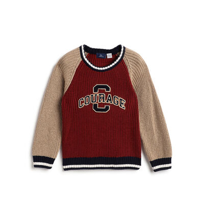 Boys Maroon Colourblocked Pullover