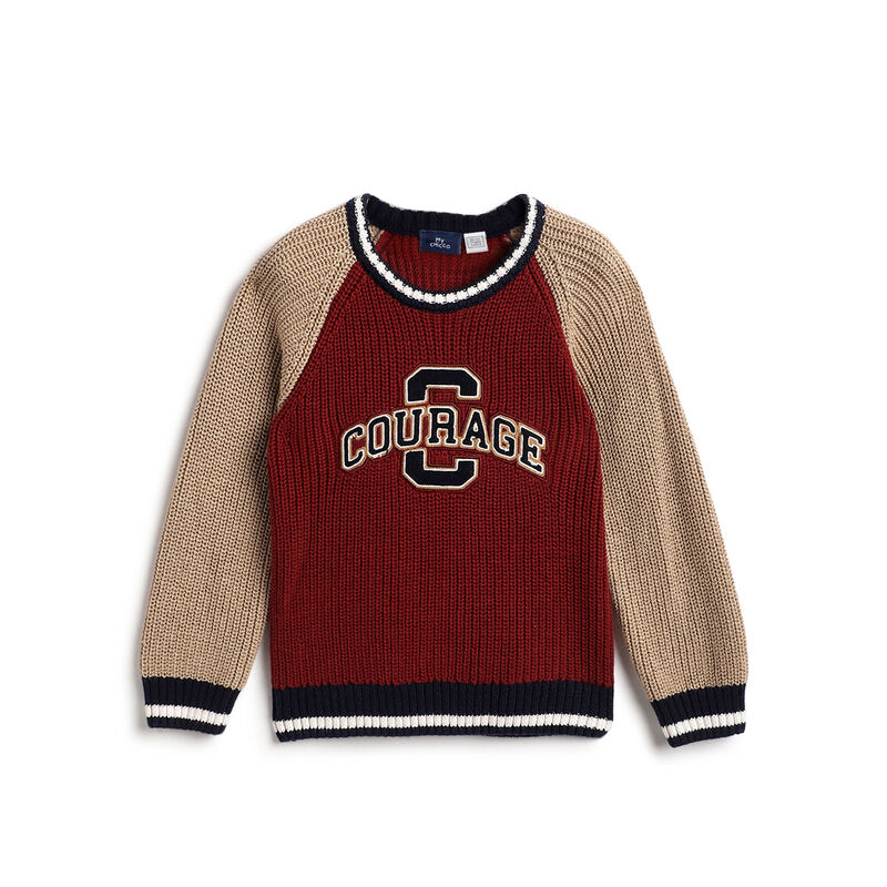 Boys Maroon Colourblocked Pullover image number 0