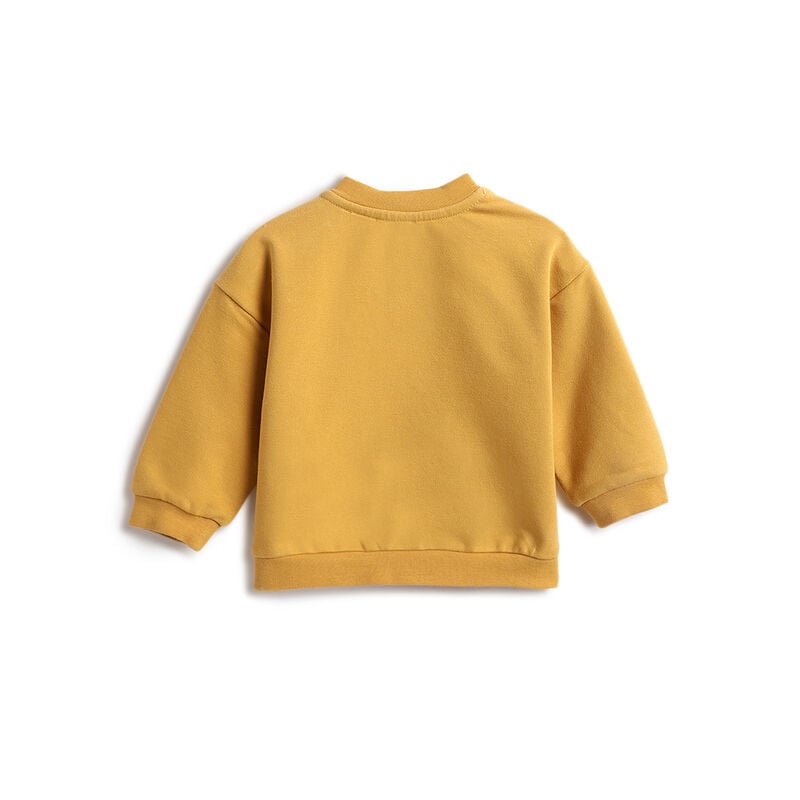 Boys Yellow and Brown Embroidered Sweathirt with Long Trouser image number 1